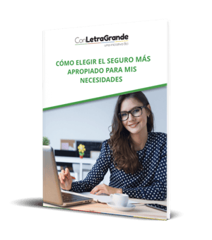 Seguros-Ebook